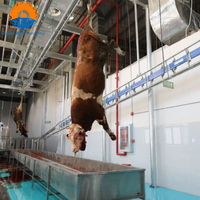 Cuve d'abattage professionnelle en acier inoxydable durable pour bovins, ovins et porcins – Équipement d'abattoir et machines de transformation de la viande