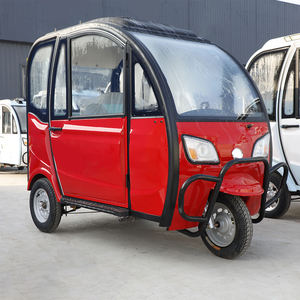 家用<span class=keywords><strong>2</strong></span>门650W乘客三轮车关闭体型三轮摩托车迷你电动车成人日常通勤 - Product Image 5