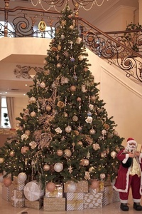 Cao cấp Cây giáng sinh nhân tạo Canada linh sam đầy đủ thân cây giáng sinh với kim loại đứng Trọng lượng nhẹ và dễ dàng để lắp ráp - Product Image 3