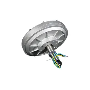 새로운 에너지 저 RPM 40W 12V 24V 130RPM 코어리스 영구자석 교류 발전기 모터 수직 풍력 터빈 사용