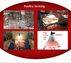 Lámpara de calefacción gruesa infrarroja para cría de animales, Bombilla de 100W/150W/200W/250W para incubar pollos, cerdo - Product Image 6