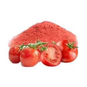 100% poudre de tomate séchée par pulvérisation naturelle poudre de tomate séchée au soleil