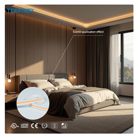 Bande lumineuse néon flexible en cuivre pour extérieur, étanche IP67, 5 m, COB monochrome, LED ambiante, dimmable, DC24V 3000K RF