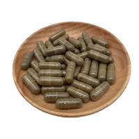 Complément alimentaire en capsules de champignon Hericium Erinaceus (Crinière de lion) 500 mg, marque privée OEM/ODM/OBM