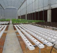 Système hydroponique de serre de type horizontal, économique et de haute qualité, avec canaux en PVC pour la culture de légumes-feuilles