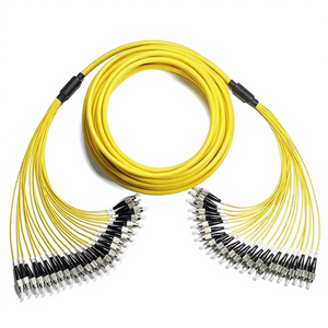 非融着シングルモード完成光ケーブル、24芯バンドル、テールファイバーブランチケーブル、プレターミネーション済みスプライスバンドルケーブル - Product Image 1