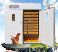 Incubateur intelligent durable à vendre, grande capacité, pour l'élevage commercial de volailles