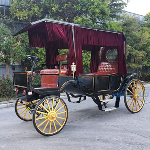 Royal Black love Limousine, Voiture à chevaux élégante pour excursions touristiques - Product Image 4