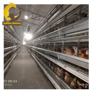 Jinmuren H Type Layer Chicken Cage Battery Chicken Cage poultry farm 30 000 chickens project