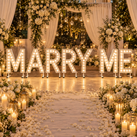 Lettres et chiffres lumineux LED personnalisés de 4 et 5 pieds avec ampoules – Lettres et chiffres métalliques illuminés pour mariages et fêtes