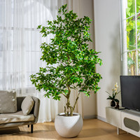 Grand arbre artificiel de Pieris Japonica, tronc en bois veiné avec feuillage luxuriant dans un pot robuste, décoration commerciale de style nordique