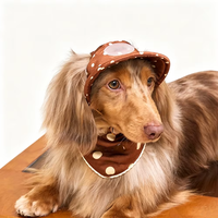 Casquette de baseball ajustable en satin à pois avec trous pour les oreilles, visière incurvée pour chiens et chats de petite, moyenne et grande taille, chapeau de soleil mignon et tendance pour animaux de compagnie