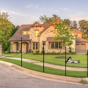 Valla Metálica para Jardín con Puerta, Paneles de Valla Metálica Portátiles, Valla para Mascotas sin Excavación para Perros, Paisajismo - Product Image 5