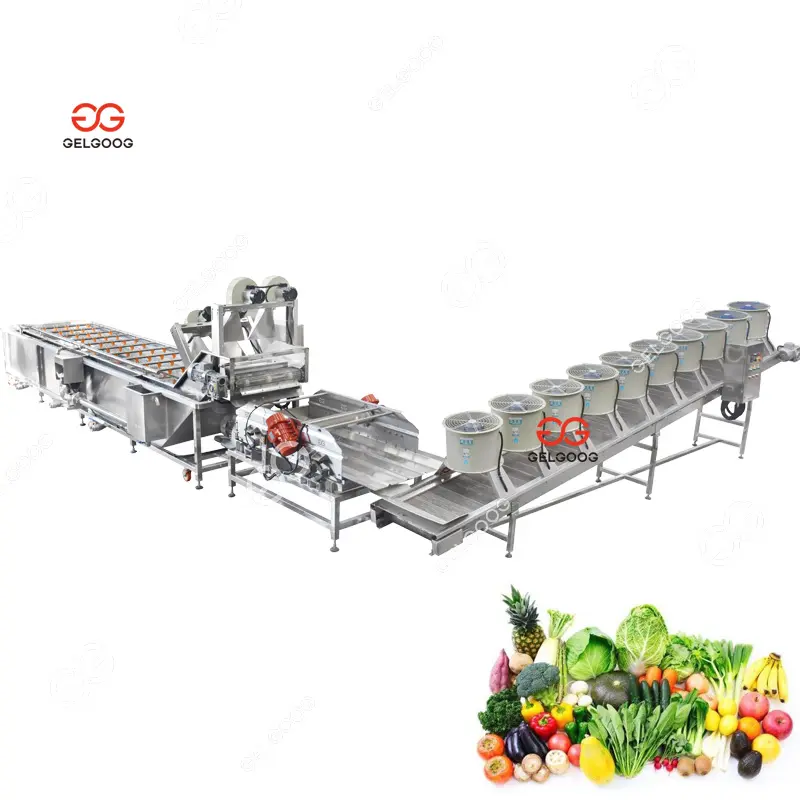 Lavadora de verduras con esterilización por ozono, lavadora y secadora de frutas y verduras