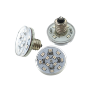 Luz LED de Punto Pixel para Parque de Atracciones, Bombilla LED para Carrusel E10 E14 AC24V AC60V, Luz Blanca Fría para Paisajismo
