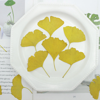 Adesivi in Resina Epossidica con Foglie di Ginkgo Naturali, Ecologici, Fiori Veri Pressati, Segnalibro con Foglie di Ginkgo