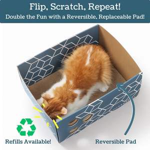 Kotak goresan kucing kardus tugas berat, dengan bantalan penggaruk kucing dua sisi dapat diisi ulang untuk kucing dalam ruangan - Product Image 3