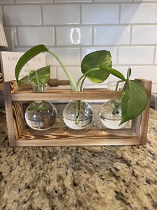 Vase en verre hydroponique moderne en forme de cœur, support de plante en bois, cadre en bois créatif, petit vase hydroponique - Product Image 3