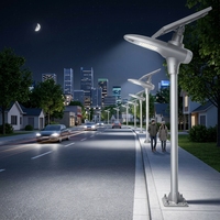 Lampe solaire de rue à LED à haut rendement lumineux avec DALI, batterie LiFePO4 facile à installer, indice de protection IP65