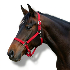 Accesorios Completos: Juego de Cuerdas y Cabestros para Caballos, Ponis Pequeños y Grandes, Suministros Ecuestres de Nylon, Estilo Silla de Montar Western - Product Image 1