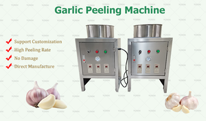 Otomatik büyük kapasiteli paslanmaz çelik 304 100kgh sarımsak soyucu Galice cilt çıkarma makinesi - Product Image 2