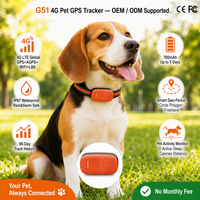 Traceur GPS pour animaux de compagnie avec logo personnalisé G51, certifié CE FCC, fabricant d'origine, traceur pour animaux de compagnie, usine chinoise, service OEM ODM