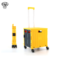 Chariot en aluminium DWL Chariot de supermarché pliable portable en polyester pour épicerie et ménage Étui à bagages personnalisable