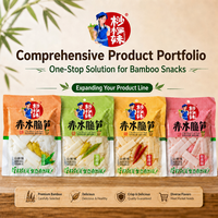 Tranches de pousses de bambou 260g, aigres, épicées, croustillantes, en conserve, prêtes à consommer, export, alimentation, personnalisation OEM ODM