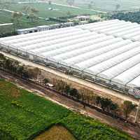 Serres agricoles à travées multiples Tunnel Film Serre Système hydroponique Laitue, Serre à tomates Équipement agricole
