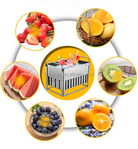 Molde para Paletas de Hielo con Logotipo, Molde para Helados de Leche, Molde Comercial de Acero Inoxidable para Paletas de Hielo, Contenedor para 20 Paletas - Product Image 2