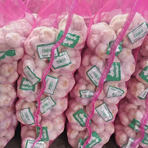 Aglio Fresco di Alta Qualità dalla Cina, Aglio Bianco Puro/Normale, Prezzo all'Ingrosso, Esportatore di Fabbrica - Product Image 1