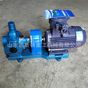 Pompe à engrenages en acier inoxydable Keston, matériau 304, 100 Lpm, électrique, rotative, pour le transfert de résine, de revêtements et de graisses - Product Image 1