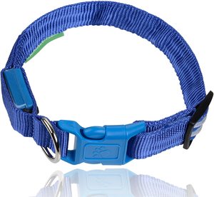 Vente directe d'usine vente chaude LED clignotant collier pour animaux de compagnie collier de <span class=keywords><strong>chien</strong></span> lumineux pour la sécurité marche animal de compagnie et contre l'animal perdu - Product Image 4