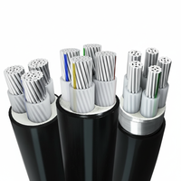 LV-Stromkabel 4x70mm² 4-adrig 3x50mm + 1x25mm 150mm 70mm Aluminiumkabel 600/1000V Niederspannung Unterirdisch Büro Direkt Überirdisch