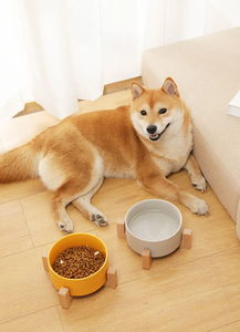 Large Feeder Dish for Dogs Cats Feeding Puppy <strong>Pet</strong> Supplies Dog <strong>Bowl</strong> Cat Food Water <strong>Bowls</strong> with Wood Stand No Spill - Product Image 2