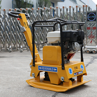 Compacteur à plaques vibrantes mini réversible certifié CE, 175 kg, pour le compactage des sols municipaux