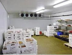Mushroom Growing Cold Room Freezer Cold Room Equipment Cold Room Chambre Froide
