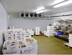 Chambre Froide de croissance de champignons, congélateur, équipement de Chambre Froide, Chambre Froide, Chambre Froide - Product Image 4