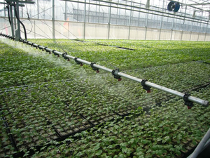 CHOYUEH système d'irrigation pour serre à faible coût <span class=keywords><strong>agricole</strong></span> avec rampe - Product Image 3