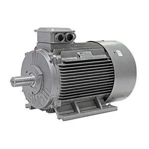 New Engine High Efficiency Three - Phase Asynchronous Motor YE2-80M1-2 Electric Motor