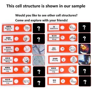 Kit de Ciencias Refinado, Juguetes Educativos, Microscopio Biológico, Explora <span class=keywords><strong>la</strong></span> Ciencia, Juguetes STEM para Niños, Regalo 2020, de 8 a 13 Años, EN71 - Product Image 5