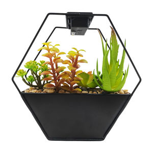 NUEVA Planta Suculenta Artificial <span class=keywords><strong>Echeveria</strong></span> Grande de Alta Calidad Tizen 2026 para Decoración de Jardín para Ocasiones de Pascua - Product Image 1