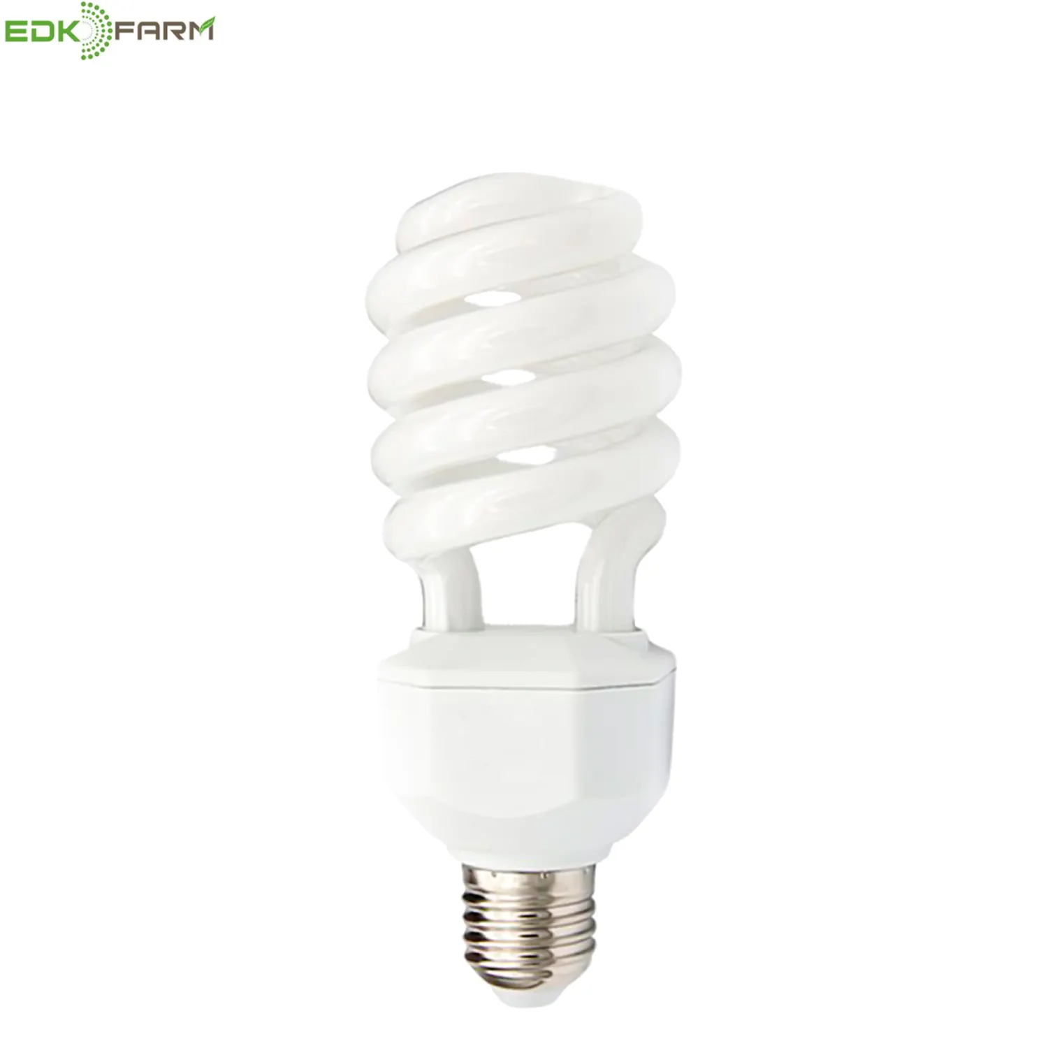 compact fluorescent light bulb