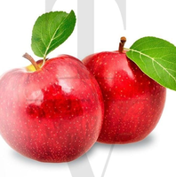 Professionelles AROMA-AROMASTOFF 100% Doppel-Apfel-Essenz Geschmacksflüssigkeit Lebensmittelqualität Rohstoffe für Bubble Gum Probenprüfung