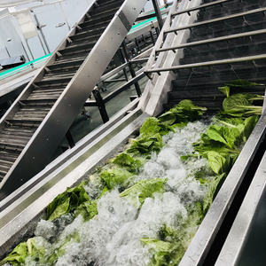 Máquina DE LIMPIEZA DE FRUTAS multifuncional para mayoristas - Product Image 4