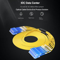 Cable Óptico de Ramificación Monomodo de 12 Núcleos SC-SC, Cable de Fibra Preterminado, Línea de Fibra de Ramificación con Cubierta Exterior de PVC