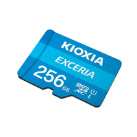   Kartu Memori Micro SD 256GB EXCERIA G2 LMEX1L256GC4