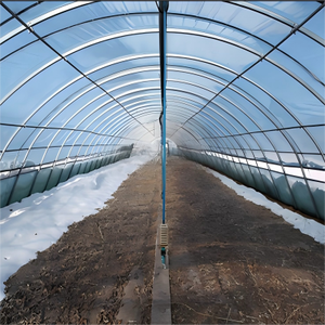 โรงเรือนแบบช่วงเดียวสำหรับการเพาะปลูกกระบองเพชรและไม้อวบน้ำที่มีแสงสูงและการระบายน้ำได้ดี - Product Image 5