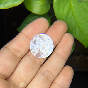 Logotipo personalizado 21*0,2mm escamas de pescado madre perla para esferas de reloj 3A grado reloj de pulsera herramientas y piezas - Product Image 6