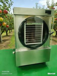 Liofilizador Doméstico con Conexión WIFI, Cuerpo de Acero Inoxidable, Bomba BAOSI para Probióticos - Product Image 2